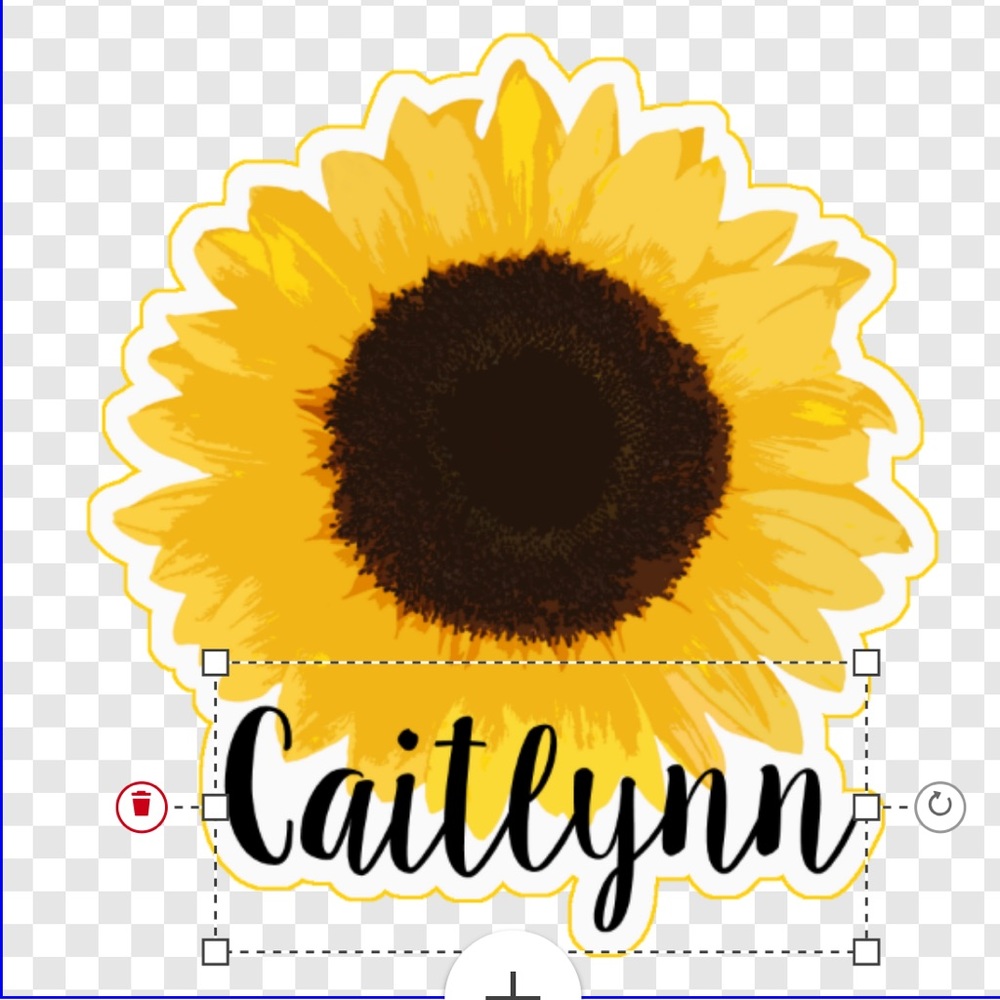 Meet your Posher, Caitlynn